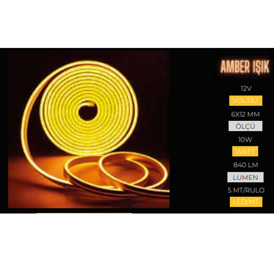 Neon Ledler